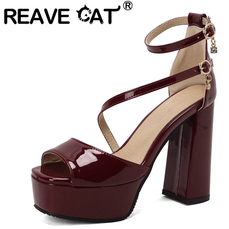Women Fashion Brand - REAVE CAT ماركة أحذية النساء الصيف